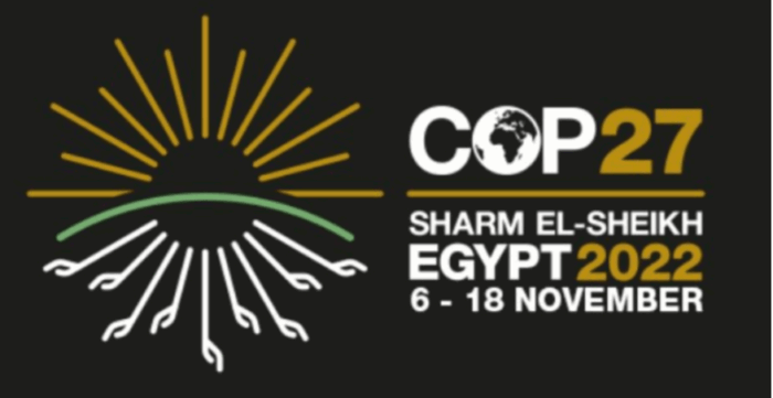 アフリカ視点のCOP27-2つのキーワード